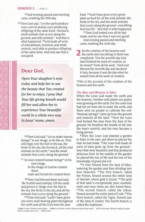 NLT Thrive Devotional Bible For Women Brown Indexed