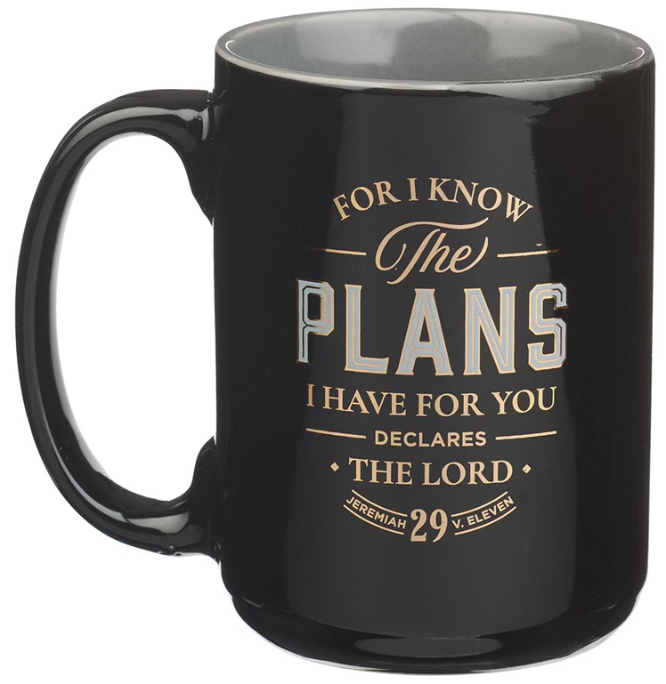 Mug I Know The Plans Charcoal Ceramic (01/25)