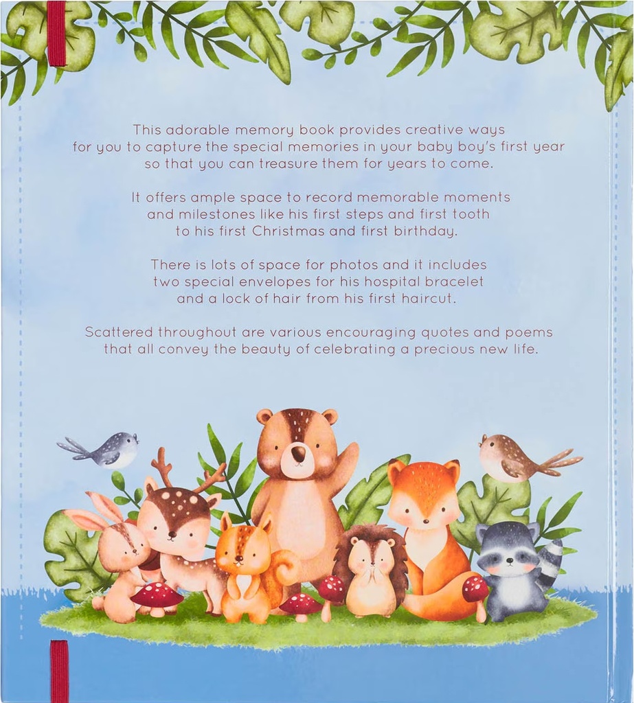 My First Year Memory Book For Baby Boys