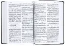 NLT Bible Read This Royal Blue