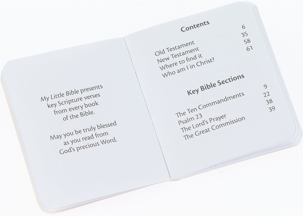 My Little Bible Green