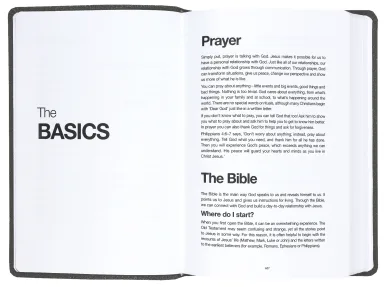 NLT Bible Read This Royal Blue