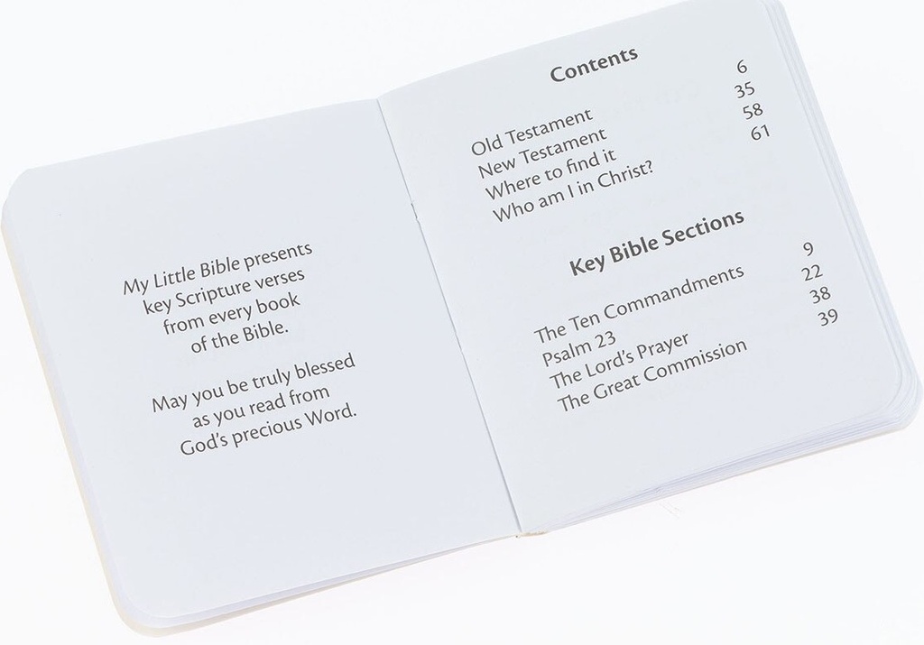My Little Bible Red