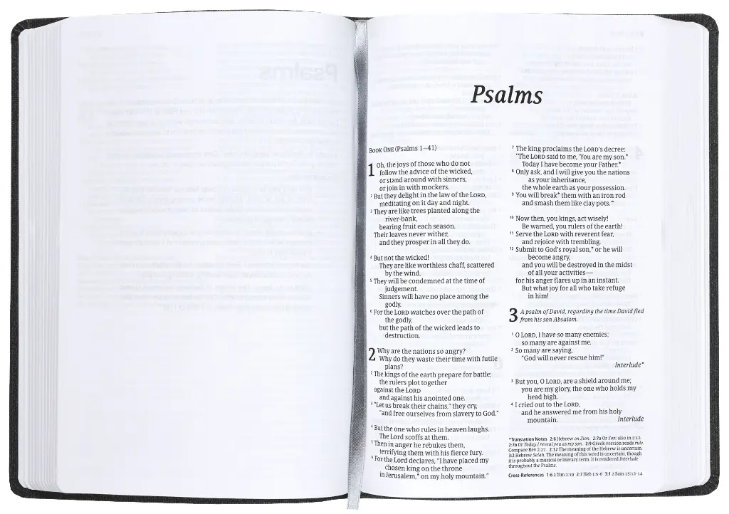 NLT Bible Read This Vintage Brown