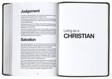 NLT Bible Read This Vintage Brown