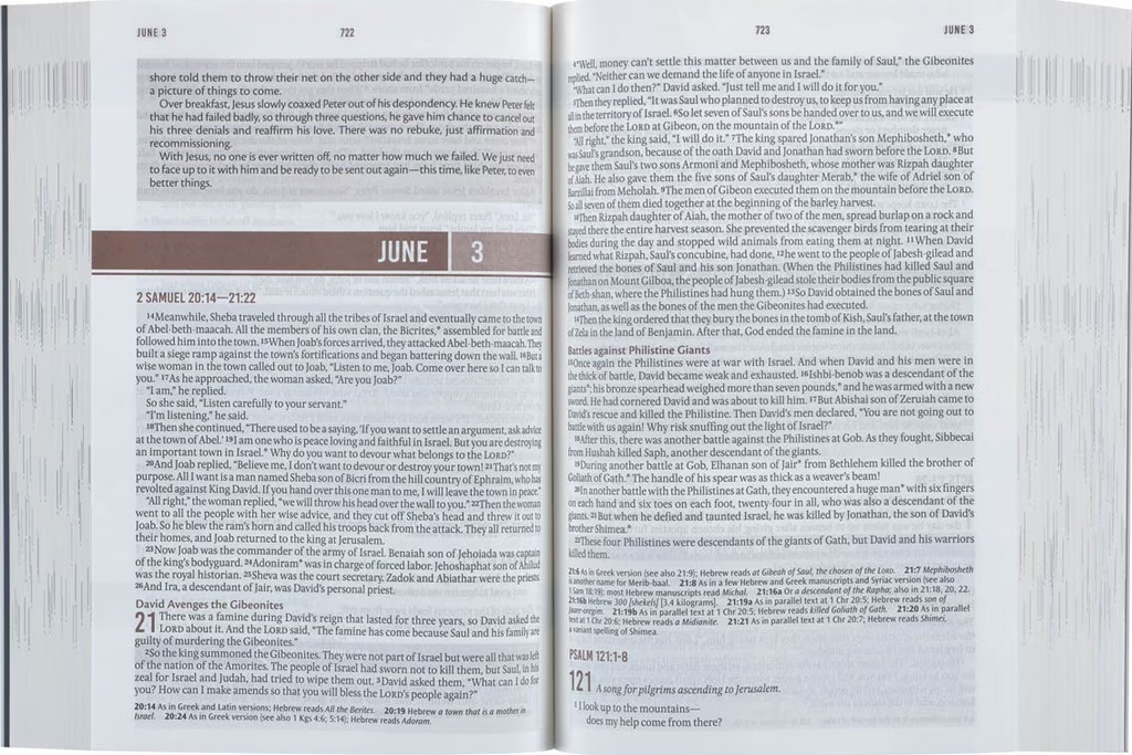 NLT Everyday Devotional Bible For Men Blue