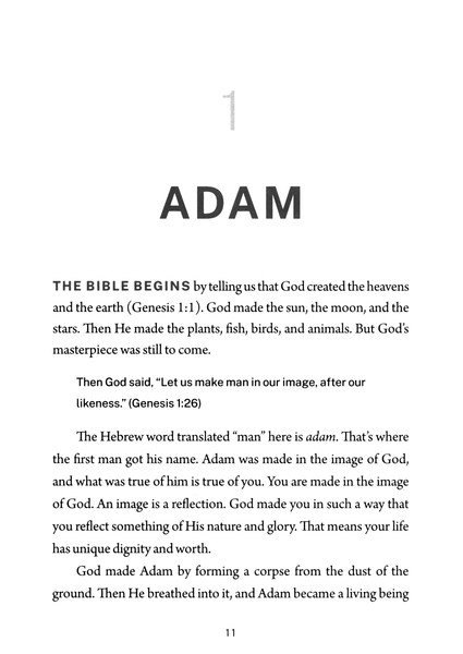 Fly Through the Bible: A Brief Introduction