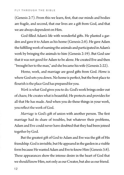 Fly Through the Bible: A Brief Introduction