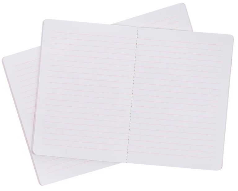 Notebook Set Courage Dear Heart 2/Pk Citrus Leaves