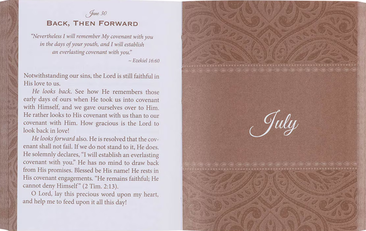 One Minute Devotions Faith's Checkbook Brown