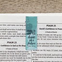 Pagemarker Magnetic Scenic