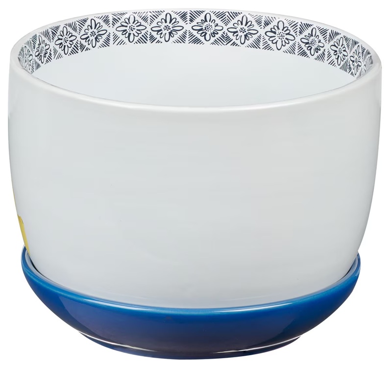 Planter Pot With Saucer Rejoice Always Lemons