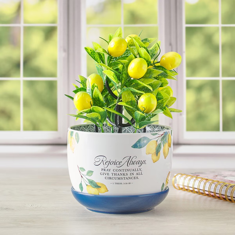 Planter Pot With Saucer Rejoice Always Lemons