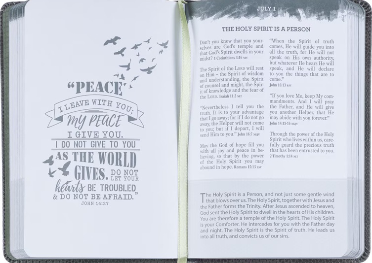 Pocket Bible Devotional For Guys Camo