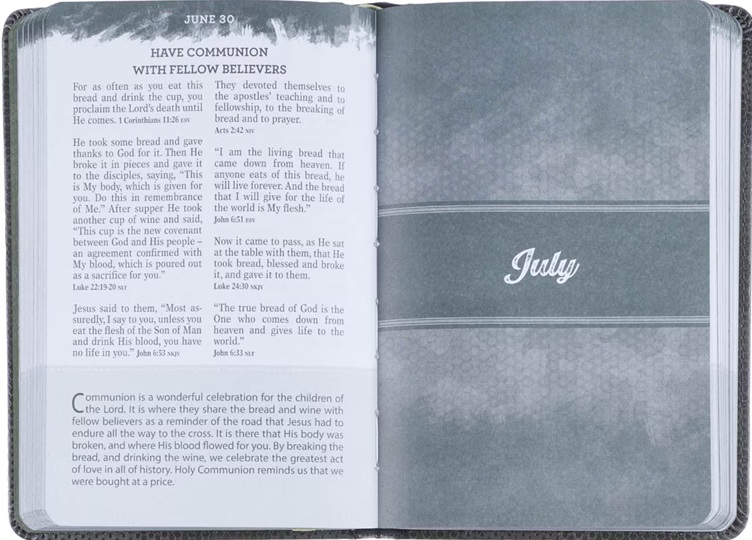 Pocket Bible Devotional For Guys Camo