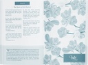 Pocket Bible Devotional For Women 366 Daily Readings
