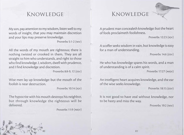 Proverbs For Your Daily Path: Words Of Hope