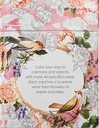Proverbs In Colour Colouring Cards