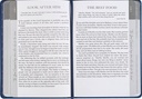 Words of Jesus 366 Devotions Blue