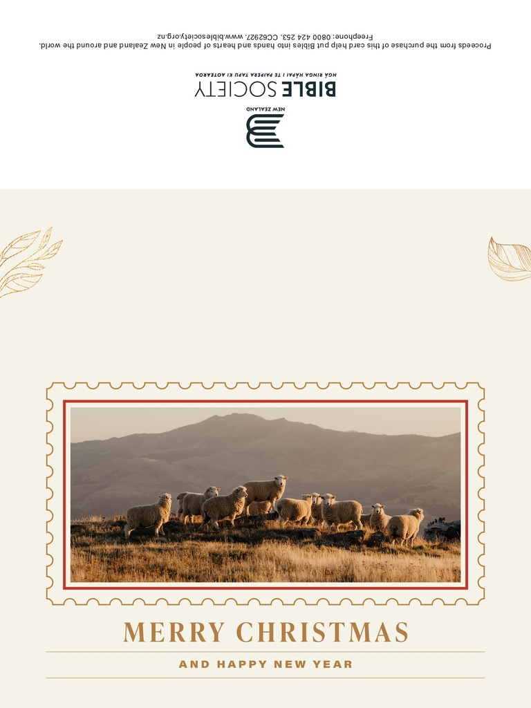 BSNZ Christmas Cards NZ 2025