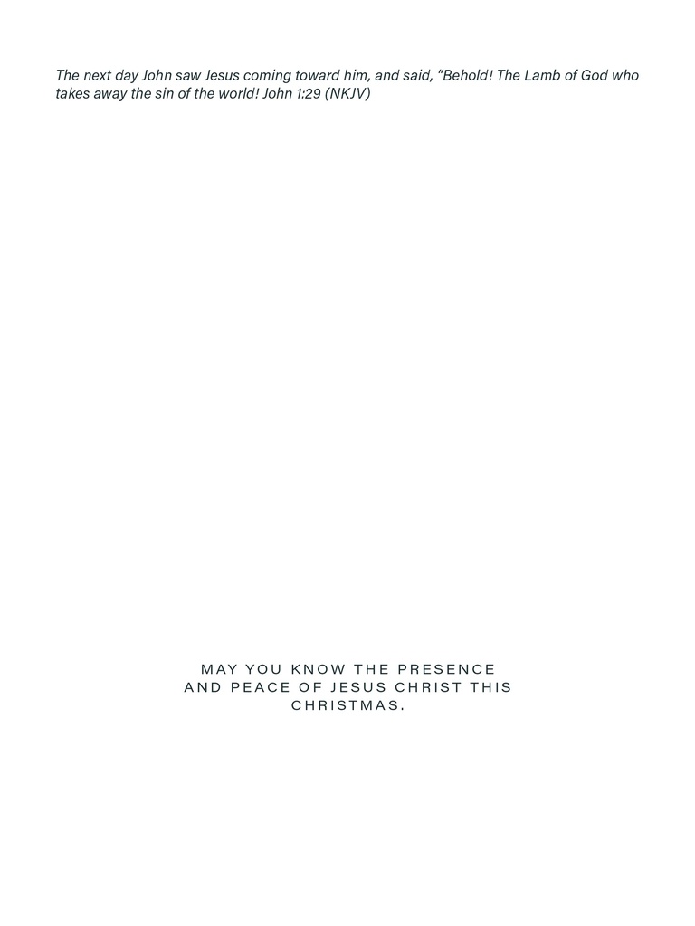 BSNZ Christmas Cards NZ 2025