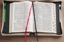Bible Case XL Everything Beautiful Taupe (01/25)