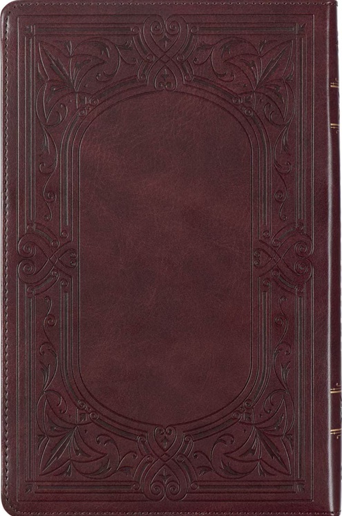 KJV DeluxeGift Brown Luxleather Indexed