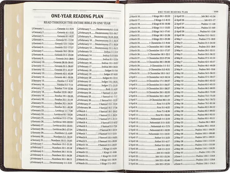 KJV DeluxeGift Brown Luxleather Indexed