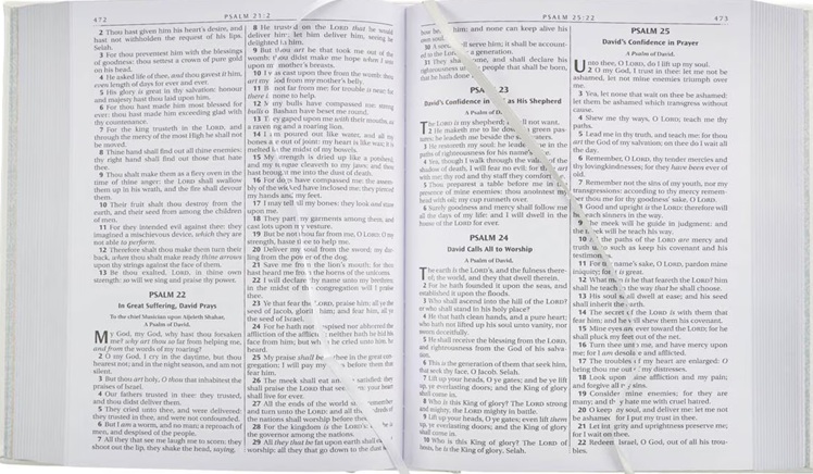 KJV Family Bible White Imitation Leather