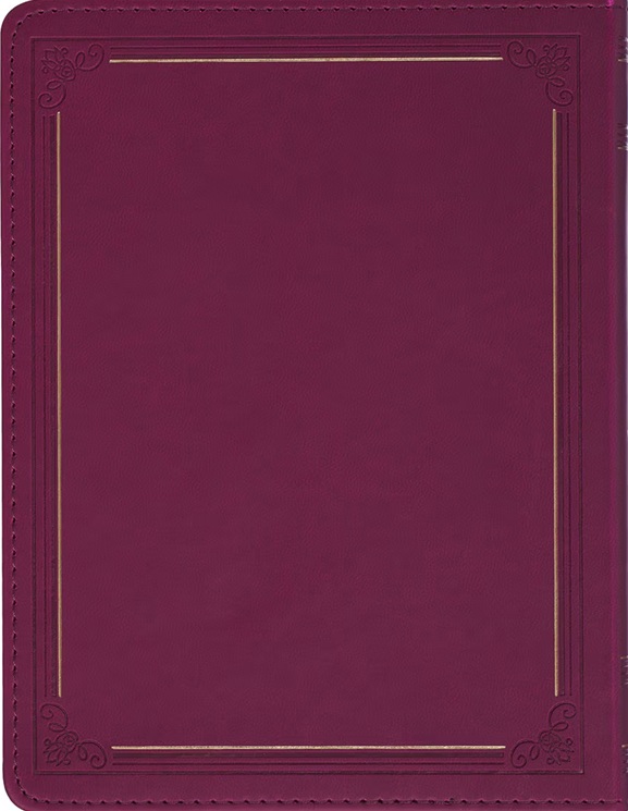 199 Prayers For My Adult Child Plum (01/25)