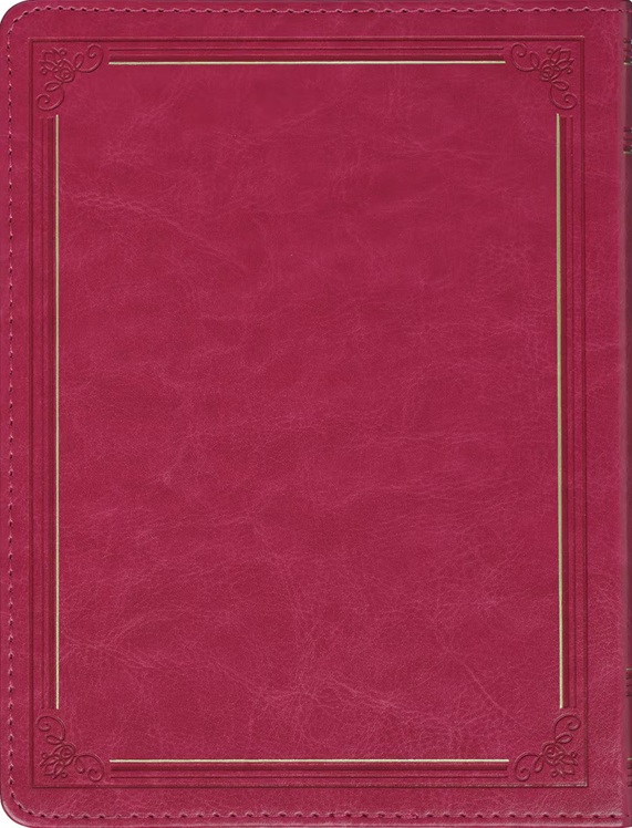 199 Prayers For My Husband Red Faux Leather (01/25)