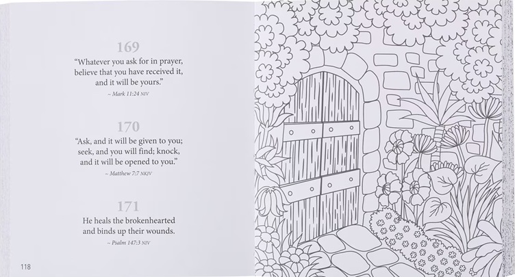365 Promises From God's Word In Colour