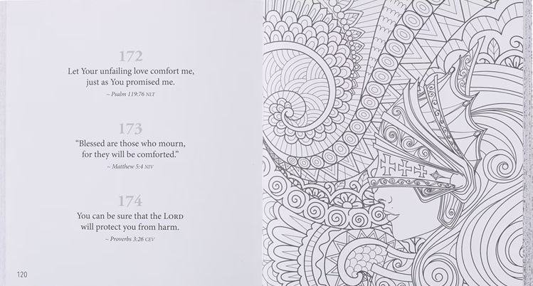 365 Promises From God's Word In Colour