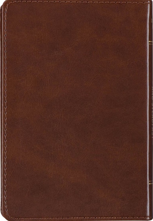 Be Strong and Steadfast 366 Devotions For Men Brown