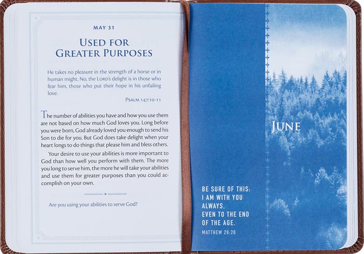 Be Strong and Steadfast 366 Devotions For Men Brown