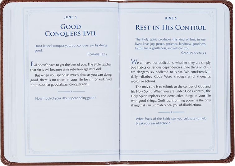 Be Strong and Steadfast 366 Devotions For Men Brown