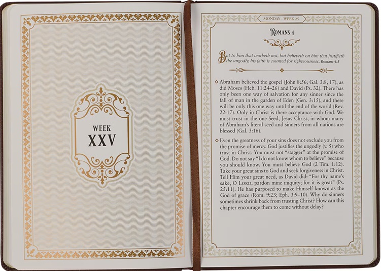 Daily Devotions From The KJV Brown