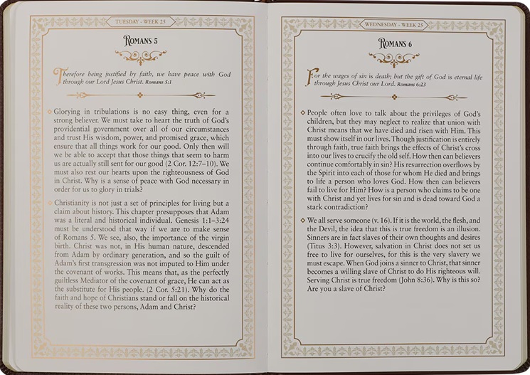 Daily Devotions From The KJV Brown
