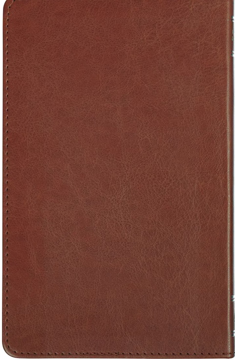 Jesus The High Road Leader Brown (01/25)