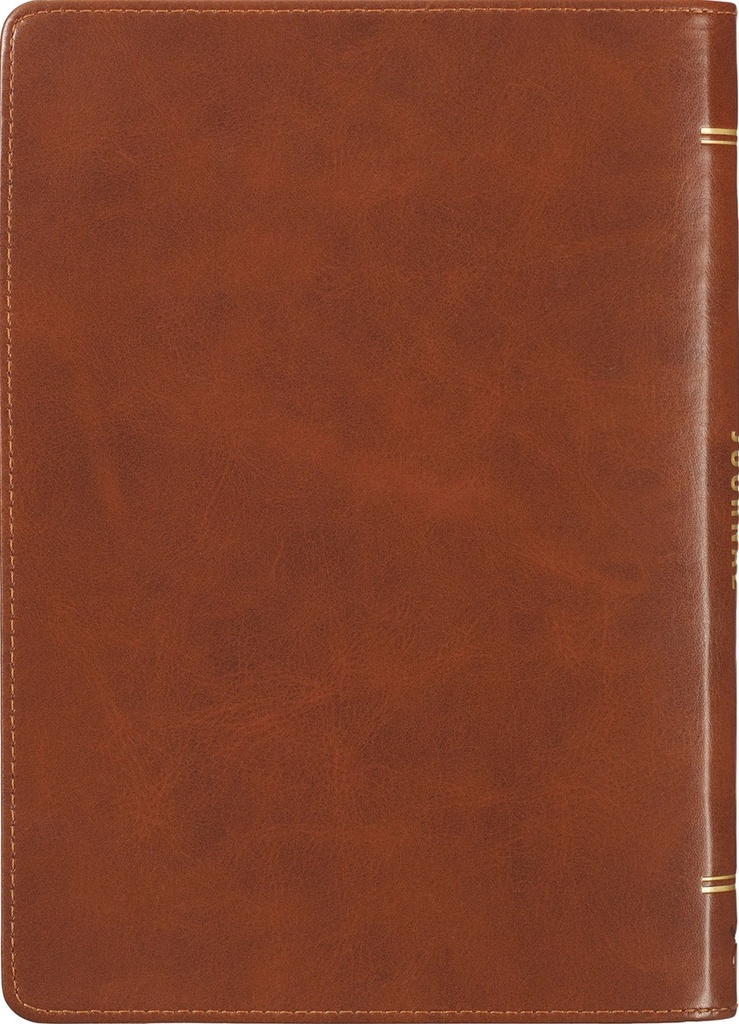 Journal Classic Be Strong and Courageous Brown Zip