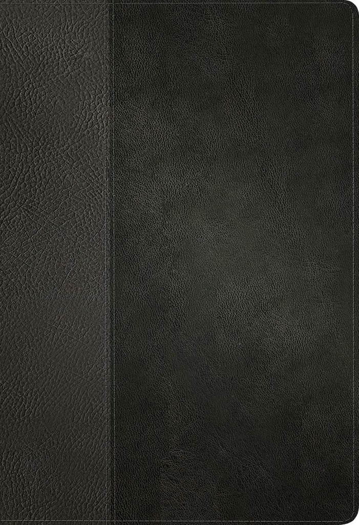 KJV Large Print Thinline Ref Bible Filament Enabled Black