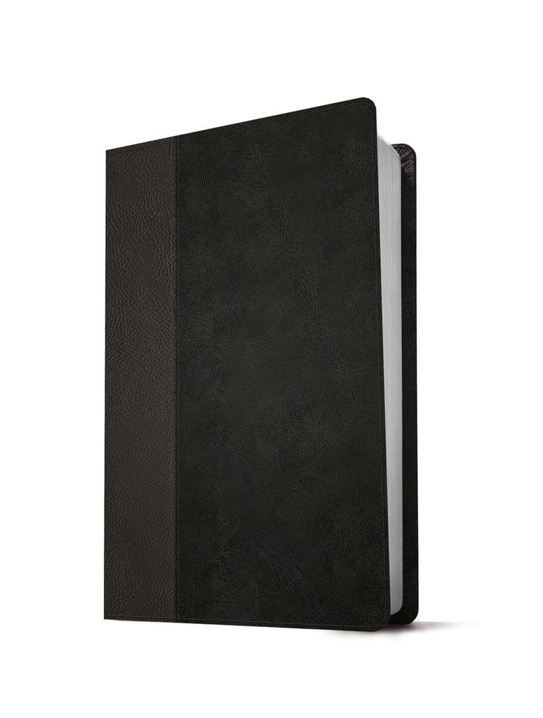 KJV Large Print Thinline Ref Bible Filament Enabled Black