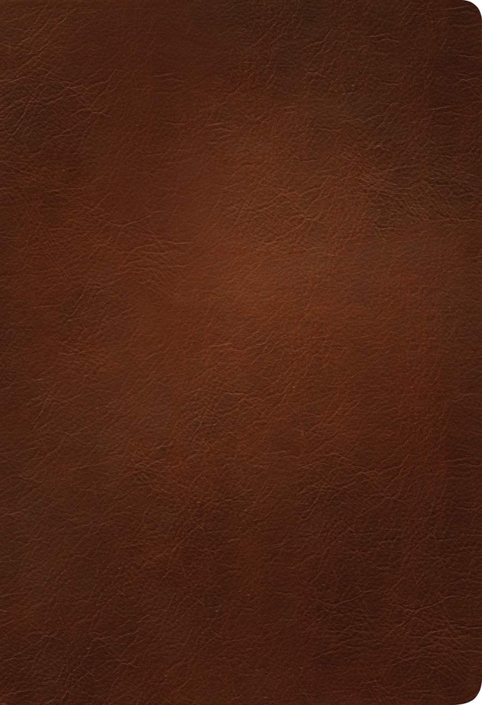 KJV Large Print Thinline Ref Bible Filament Enabled Brown