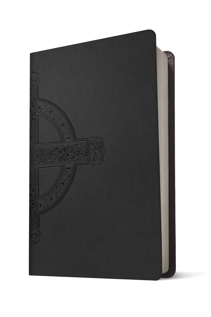 KJV Lge Print Premium Value Thinline Filament Enabled Black