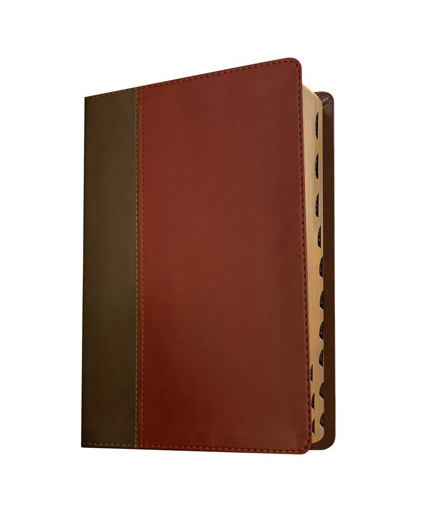 KJV Life Application Bible 3rd Ed Brown Indexed I/L