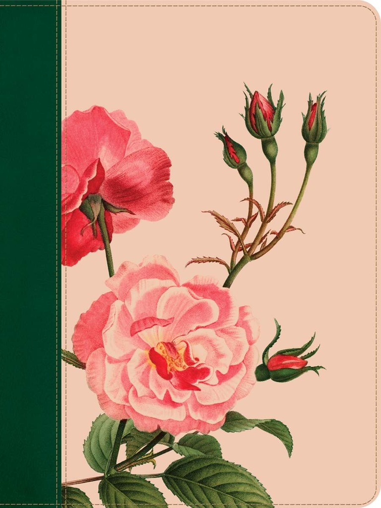 KJV Wide Margin Bible Filament Pink Rose Garden I/L
