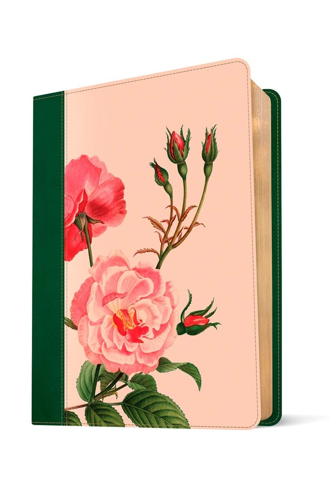 KJV Wide Margin Bible Filament Pink Rose Garden I/L