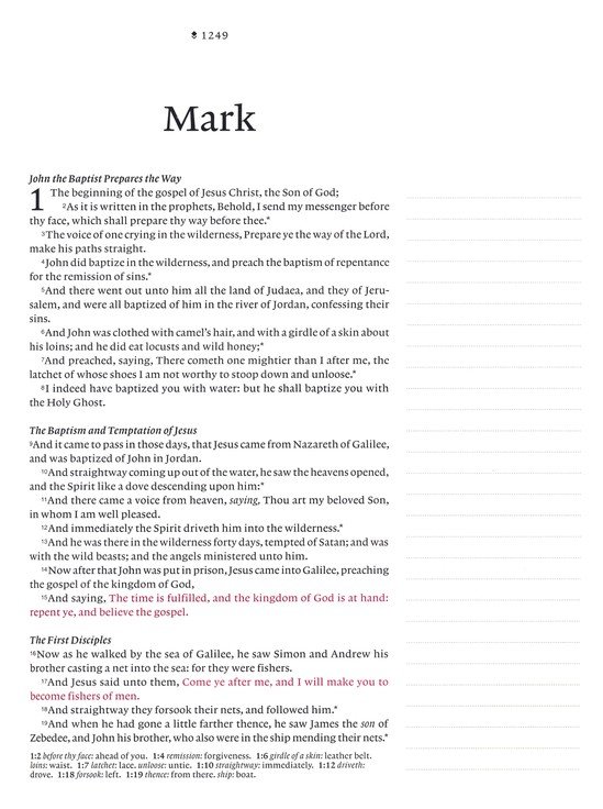 KJV Wide Margin Bible Filament Pink Rose Garden I/L