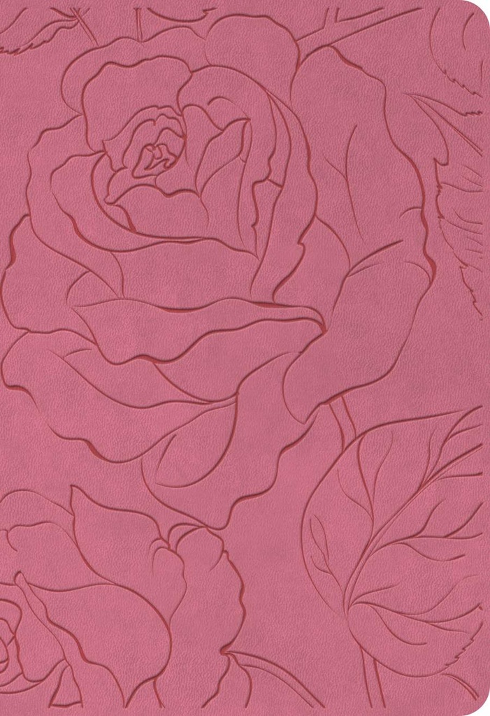 NLT Bible Compact Premium Value Filament Pink Rose9781496479280