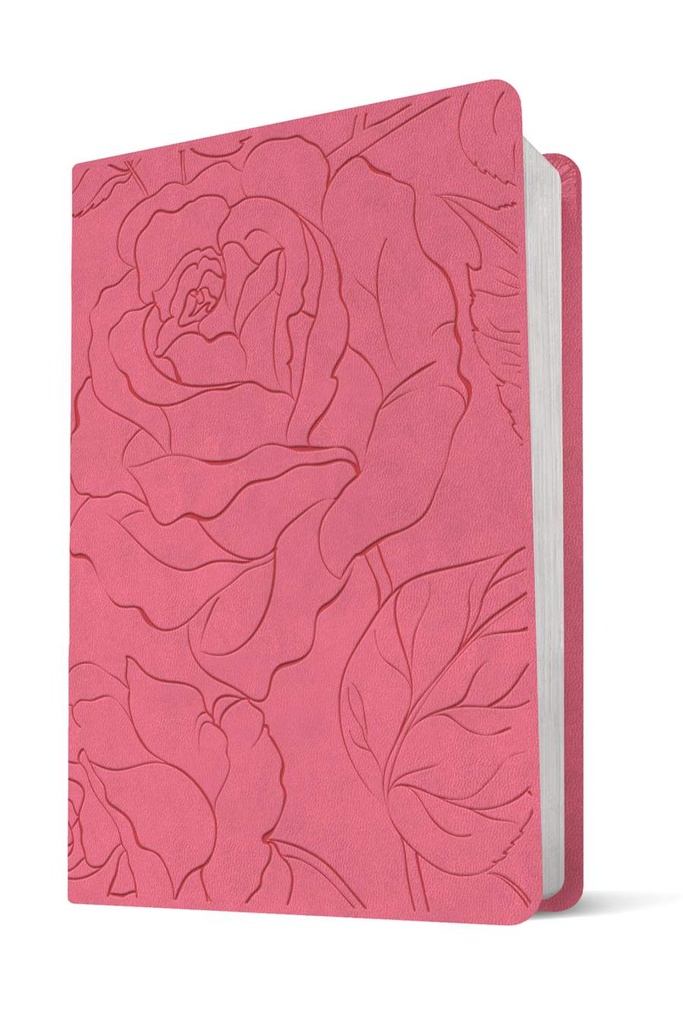NLT Bible Compact Premium Value Filament Pink Rose